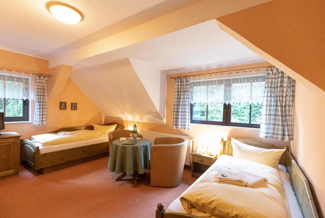 Waldgasthof & Hotel Am Sauwald Tannenberg Экстерьер фото
