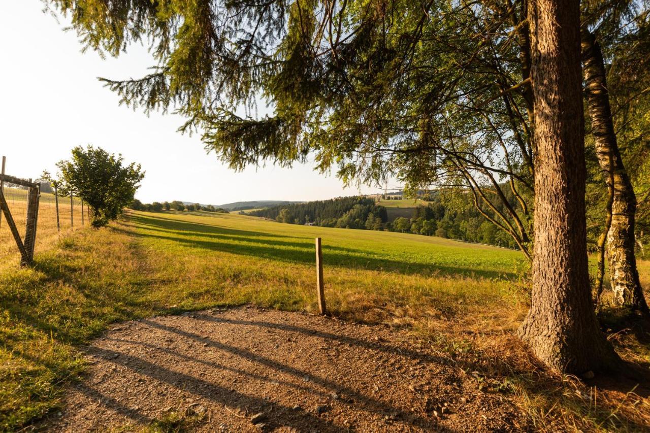 Waldgasthof & Hotel Am Sauwald Tannenberg Экстерьер фото