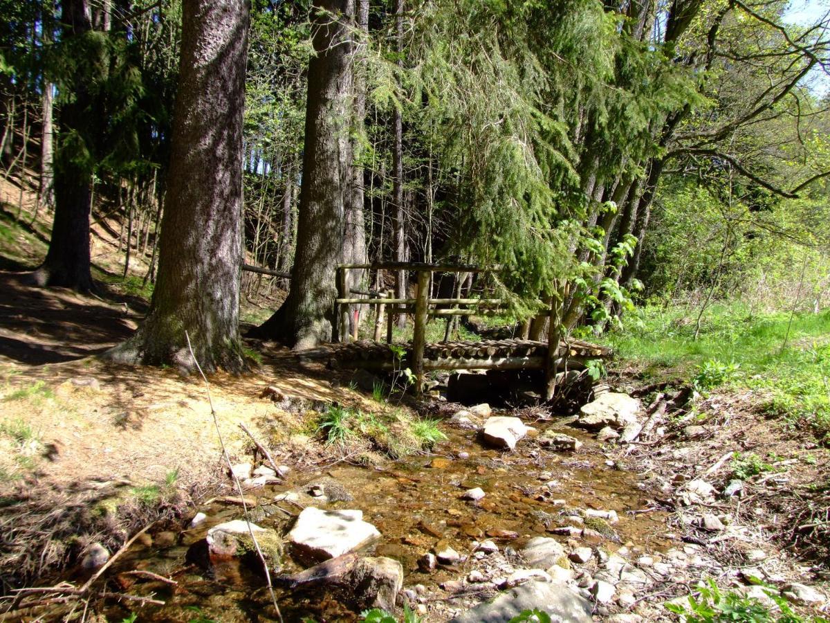 Waldgasthof & Hotel Am Sauwald Tannenberg Экстерьер фото