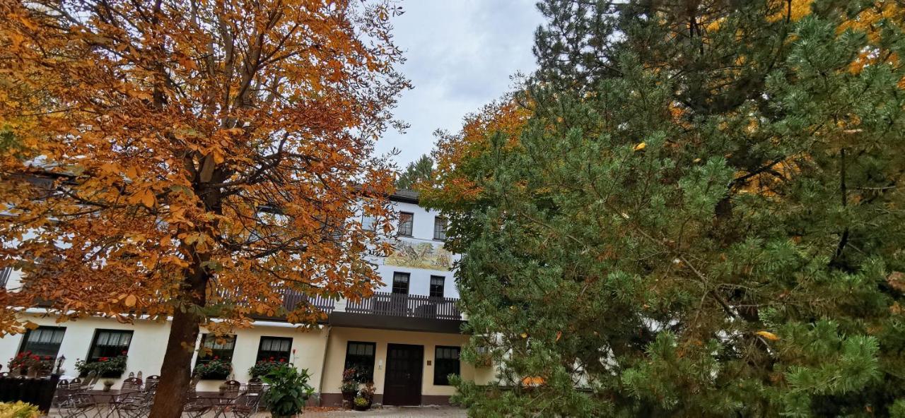 Waldgasthof & Hotel Am Sauwald Tannenberg Экстерьер фото