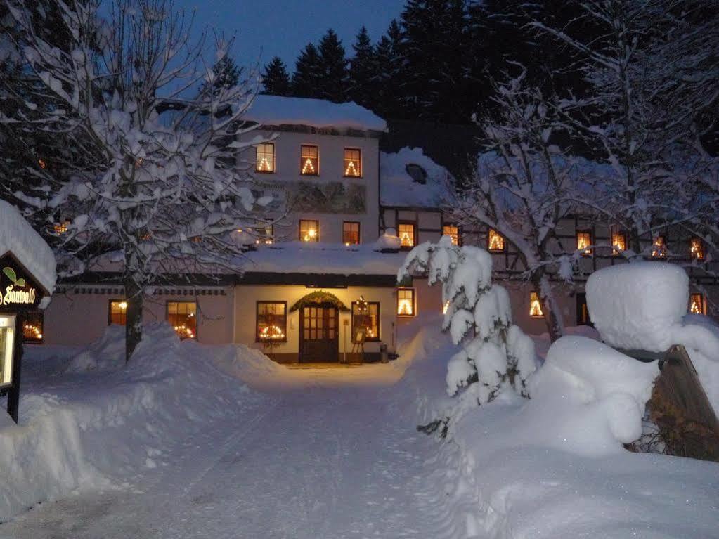 Waldgasthof & Hotel Am Sauwald Tannenberg Экстерьер фото
