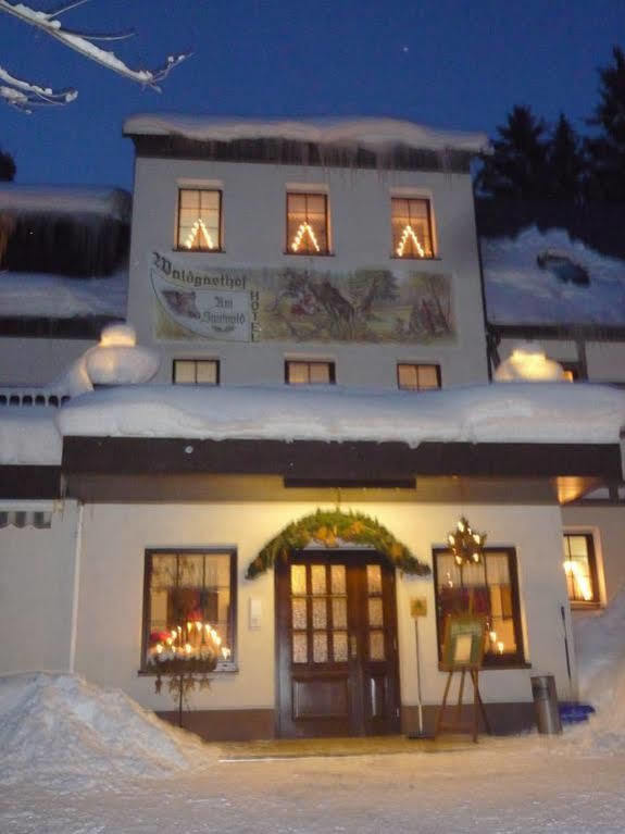 Waldgasthof & Hotel Am Sauwald Tannenberg Экстерьер фото