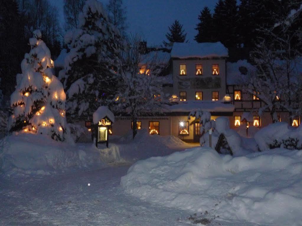 Waldgasthof & Hotel Am Sauwald Tannenberg Экстерьер фото